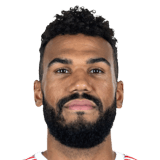 Eric Maxim Choupo Moting