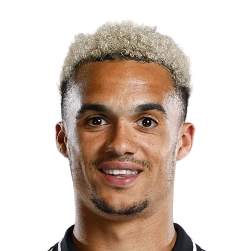 Antonee Robinson