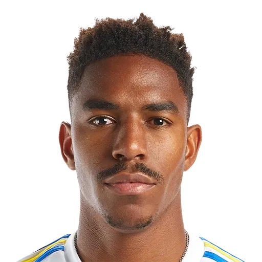 Hector Junior Firpo Adames